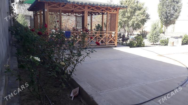 gämi köne гами - Ak bugdaý etraby - img 5