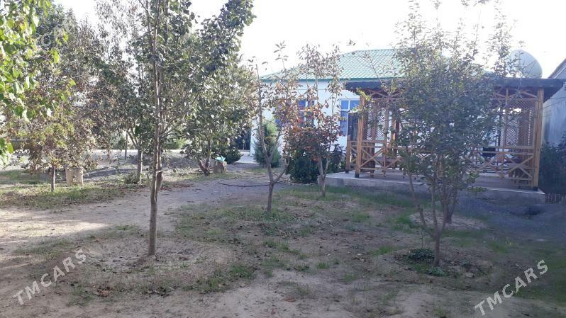 gämi köne гами - Ak bugdaý etraby - img 6