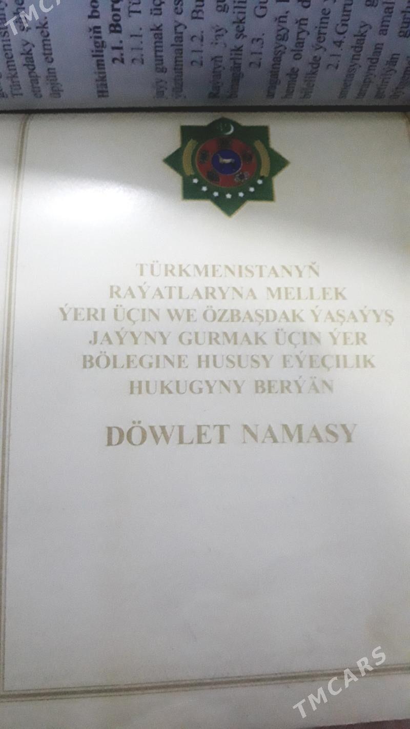 gämi köne гами - Ak bugdaý etraby - img 8