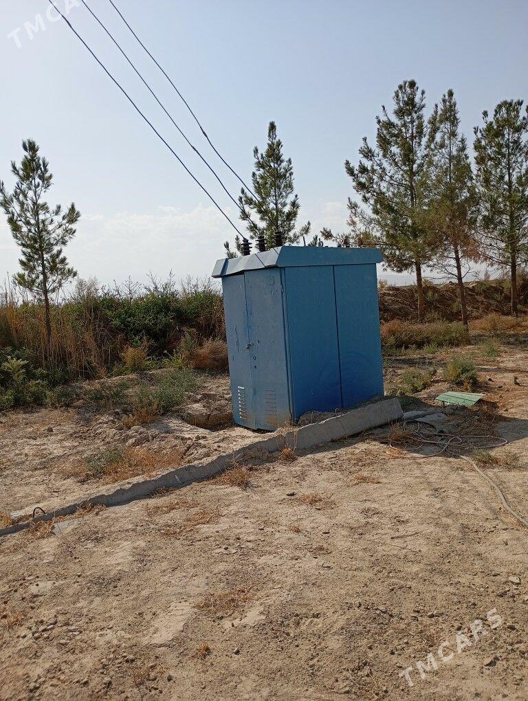 Melek er 10 gekdar - Kaka - img 3