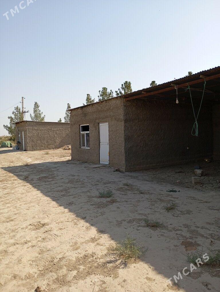 Melek er 10 gekdar - Kaka - img 7