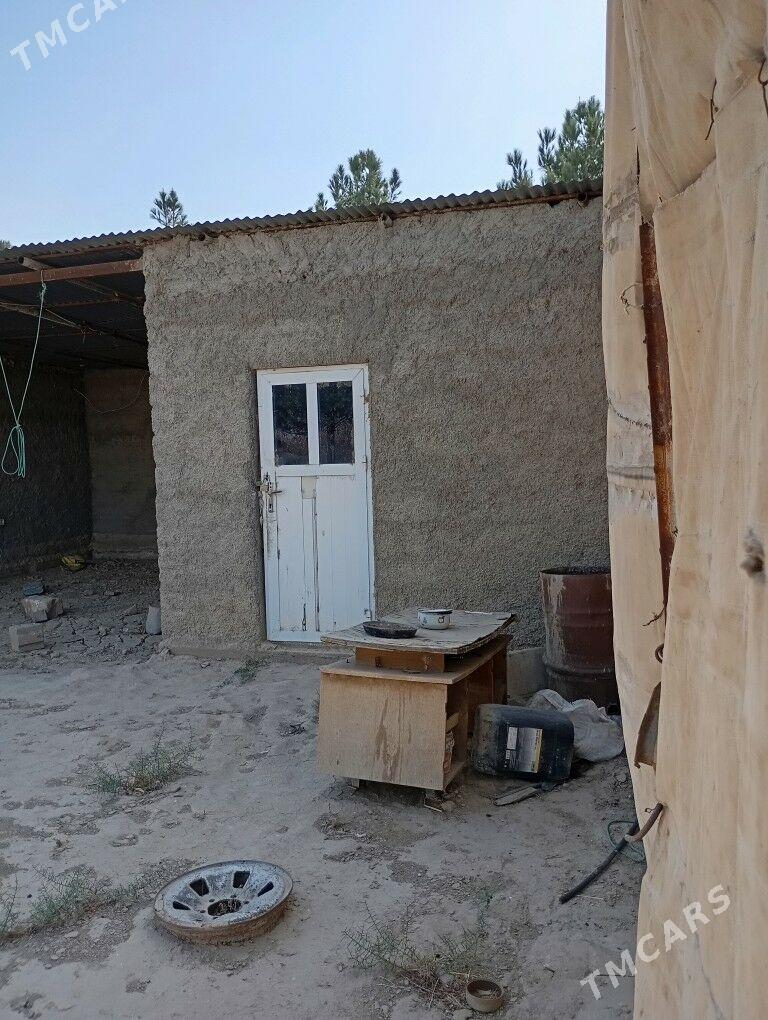 Melek er 10 gekdar - Kaka - img 2