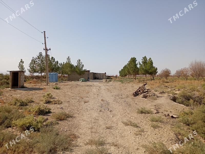 Melek er 10 gekdar - Kaka - img 6