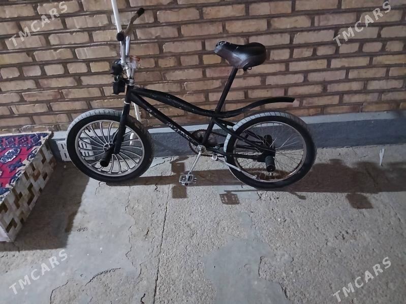 tigir - Tejen - img 2