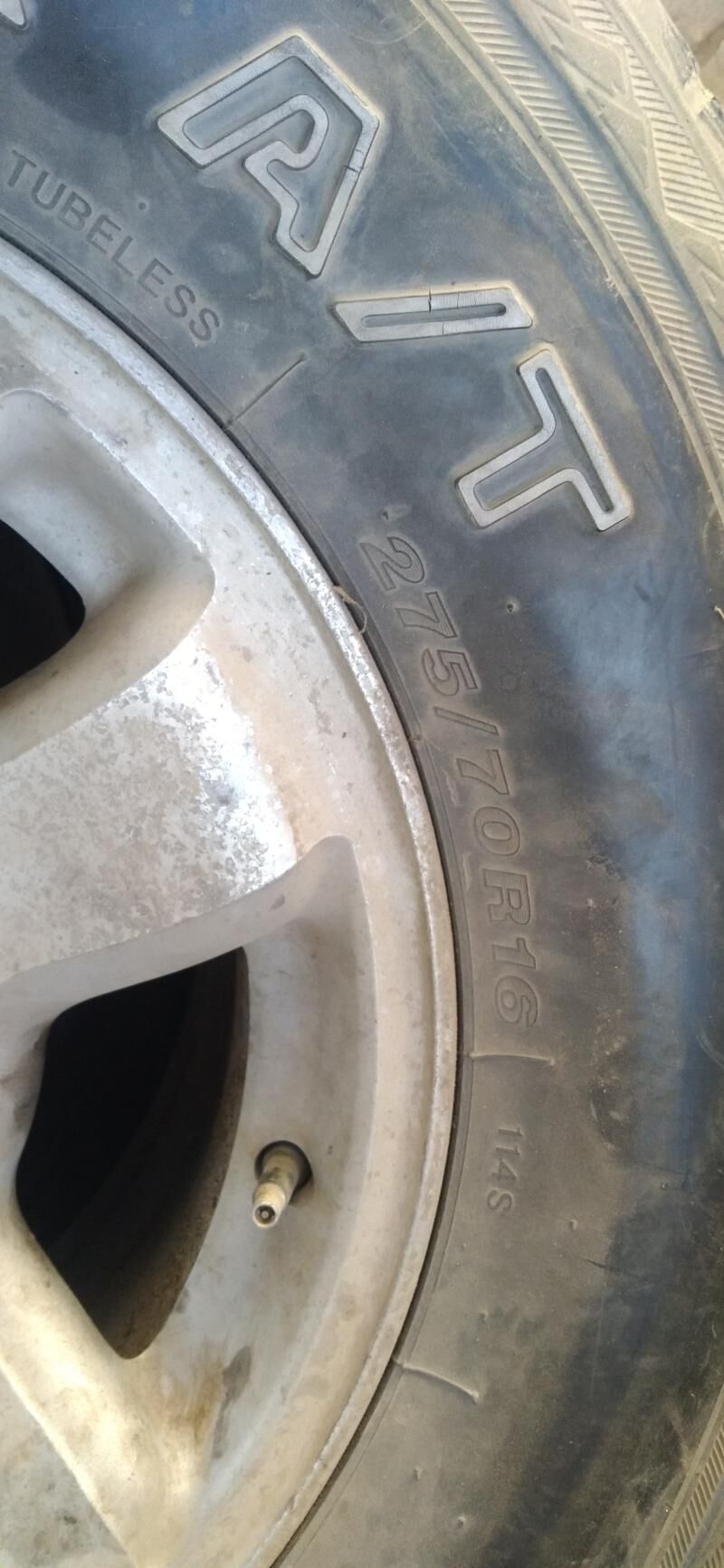 diska balon prada 1 000 TMT - Kerki - img 2