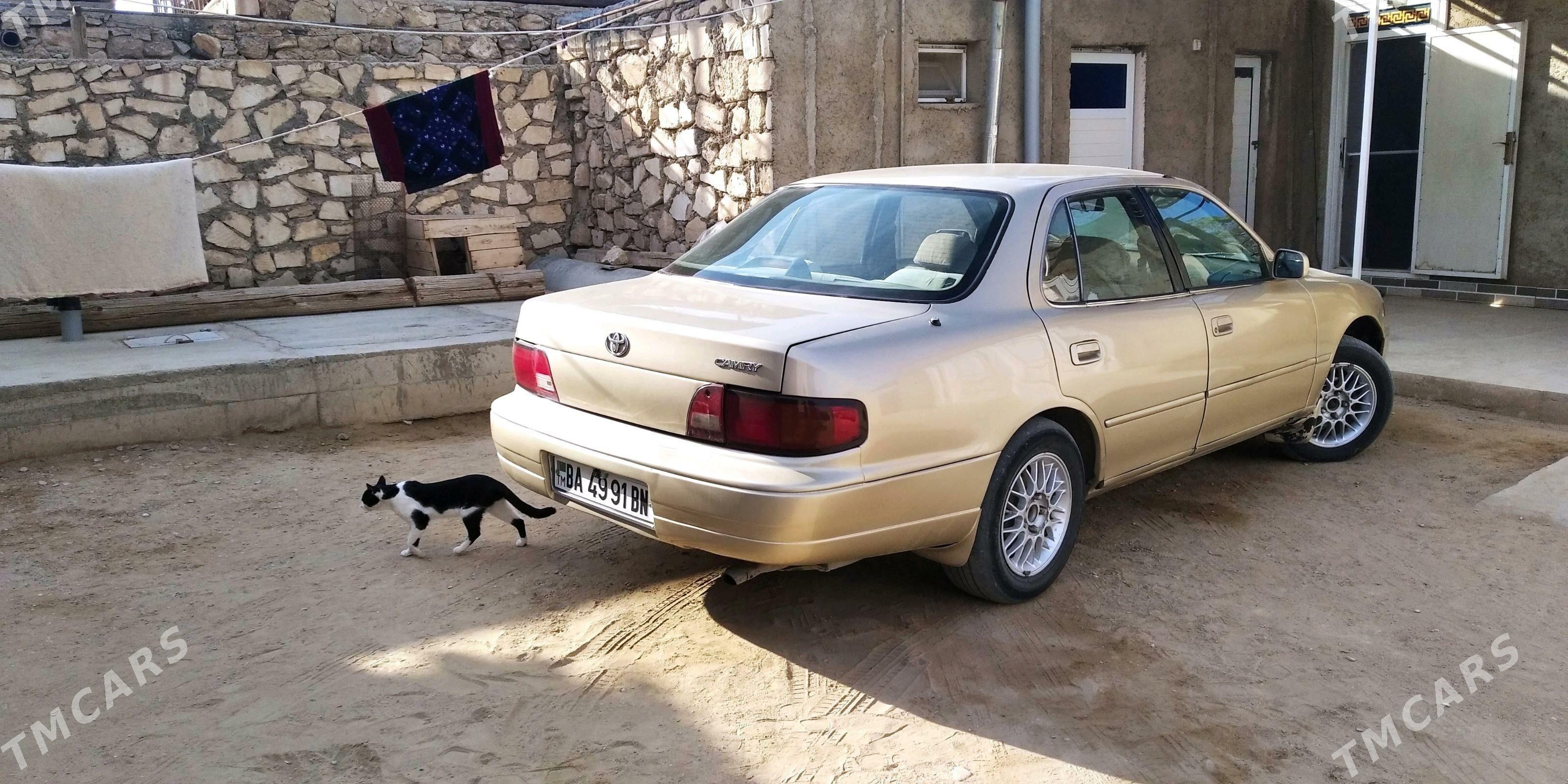 Toyota Camry 1996 - 90 000 TMT - Джебел - img 3