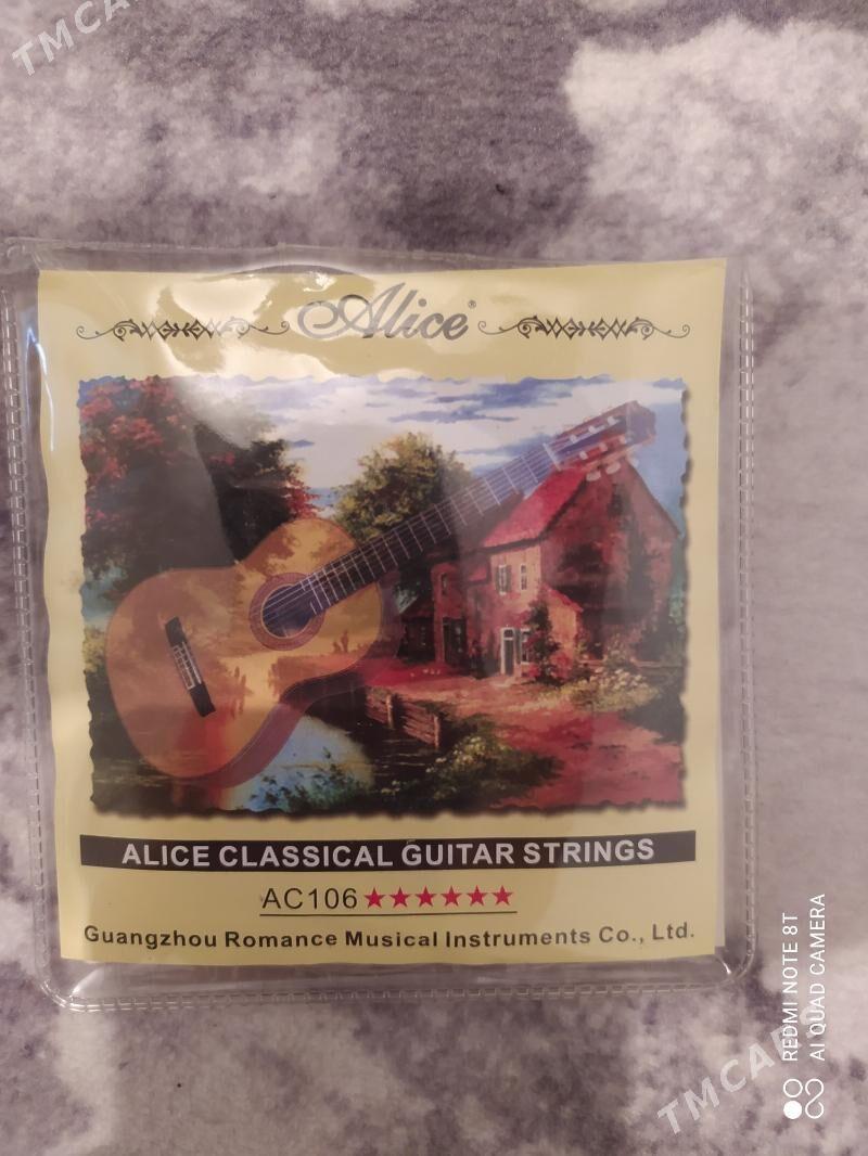 gitara kiriş žilka demir tar - Туркменгала - img 1