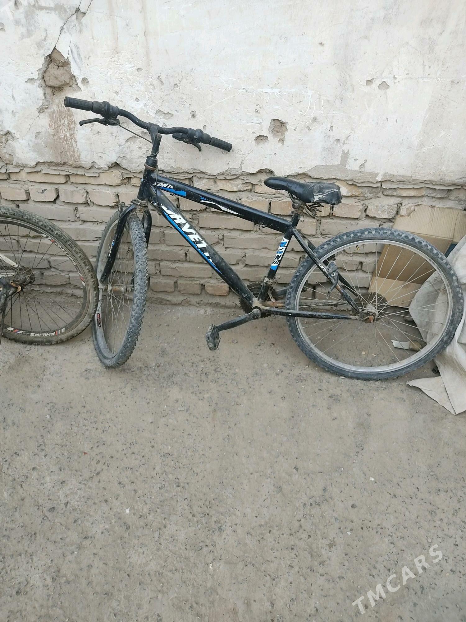 welik - Дашогуз - img 2
