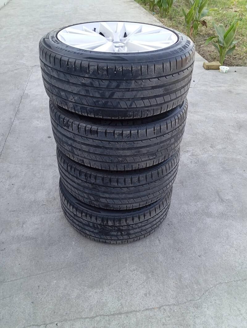 Dysga pakryşga Karola 17 3 500 TMT - Bedew - img 4