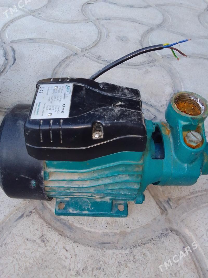 Nasos Leo 60lik - Туркменбаши - img 6