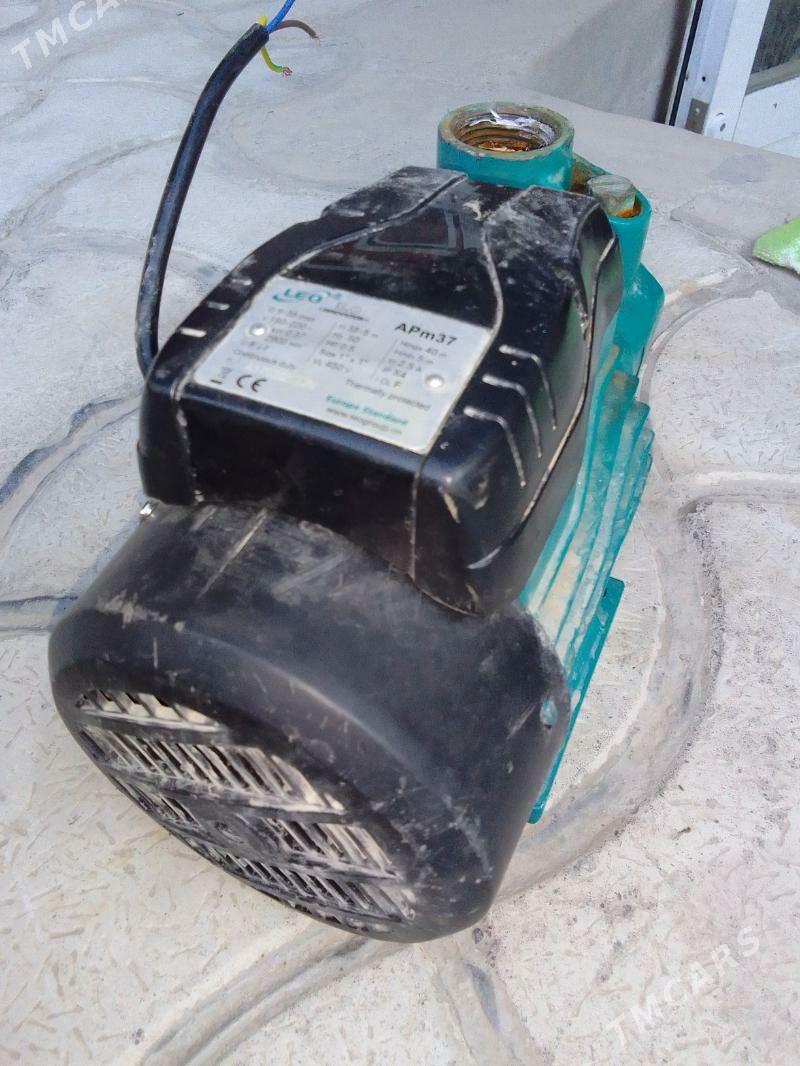 Nasos Leo 60lik - Туркменбаши - img 7