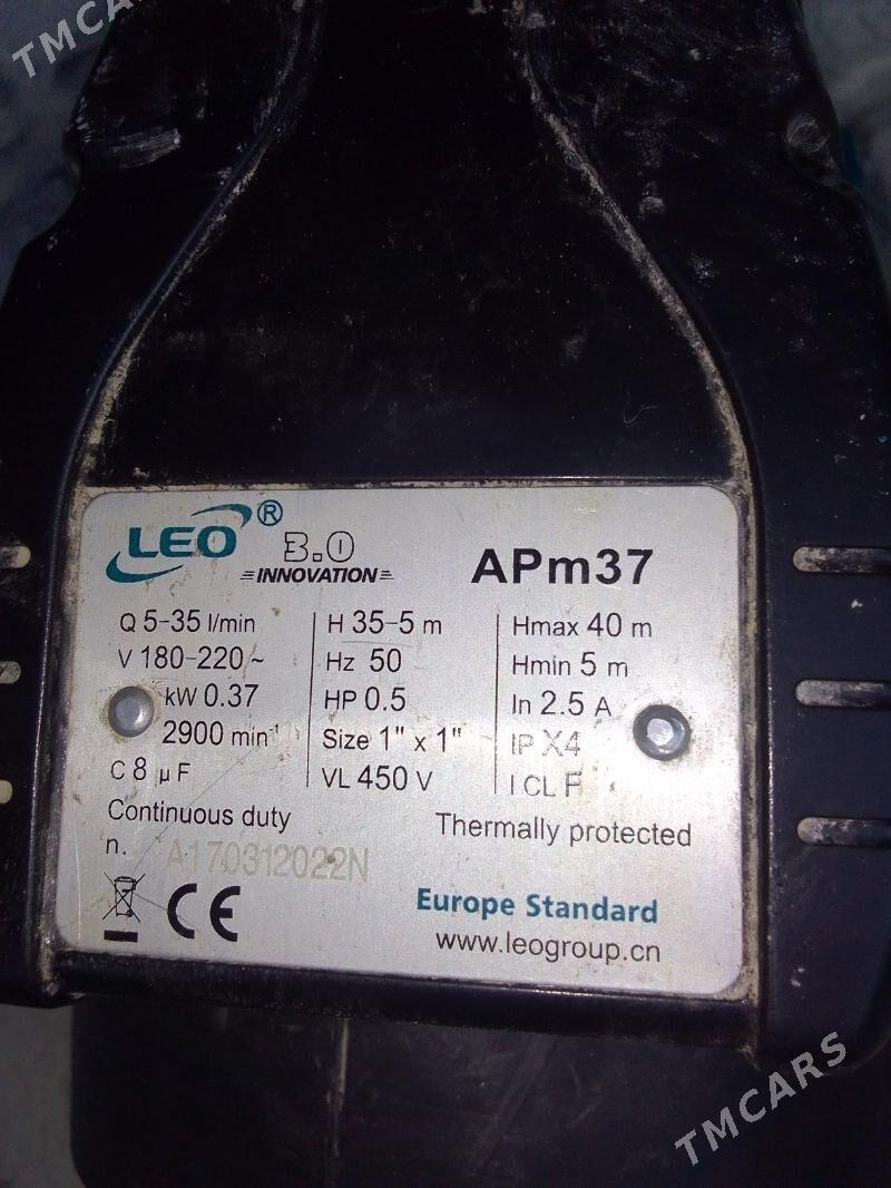 Nasos Leo 60lik - Туркменбаши - img 3