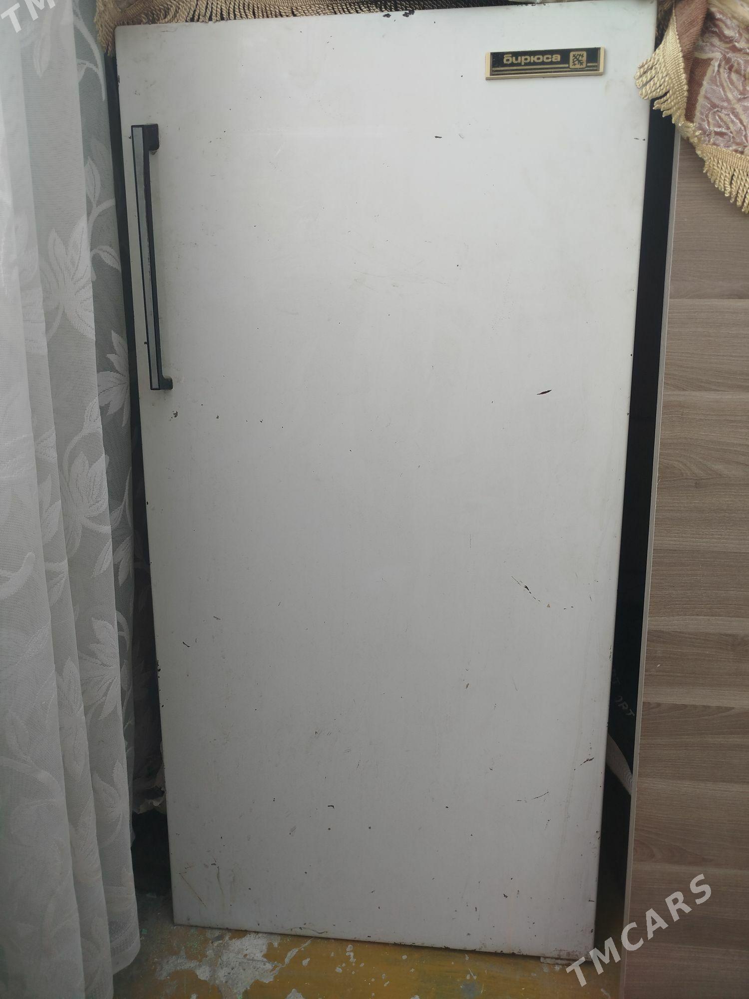 Бирюса - Туркменабат - img 1