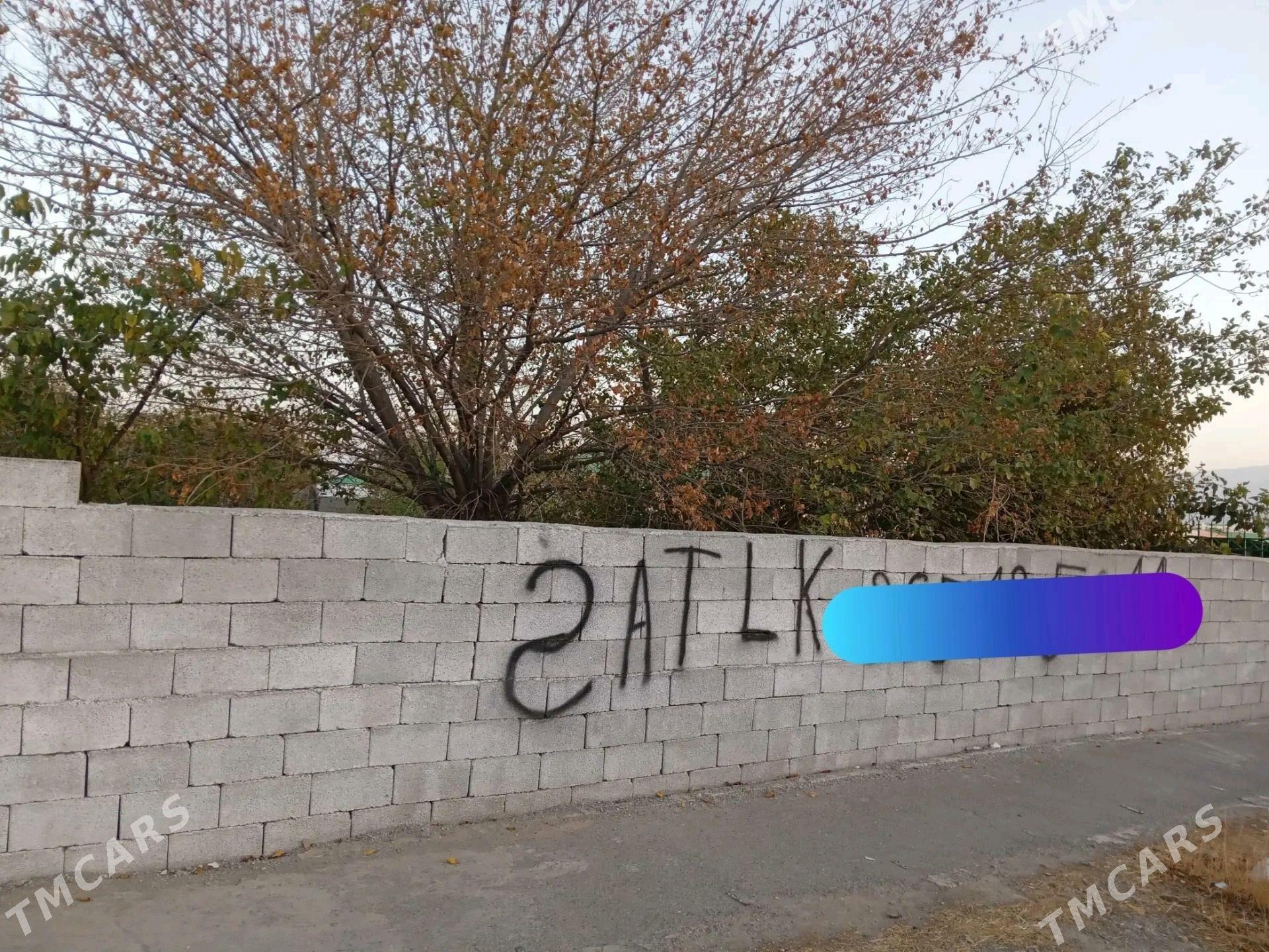 Akdasayak mellek - Бузмеин - img 1