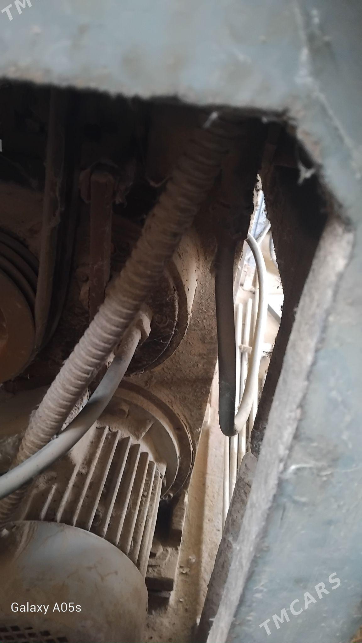 tokar stanok - Mary - img 2