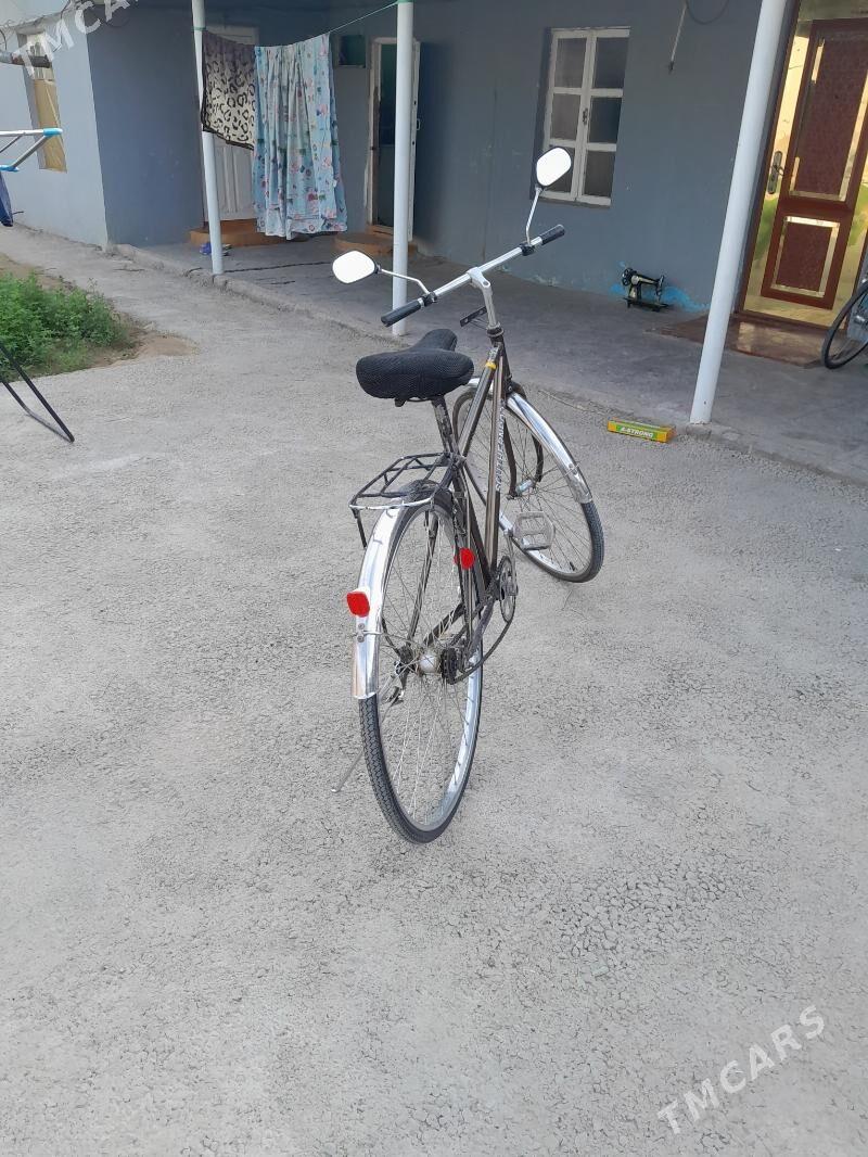 tigir - Кипджак - img 2