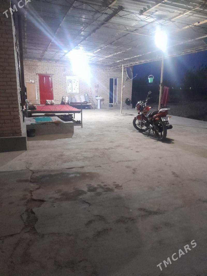 üzüm sawhoz glawnoyda - Гарабекевюл - img 2