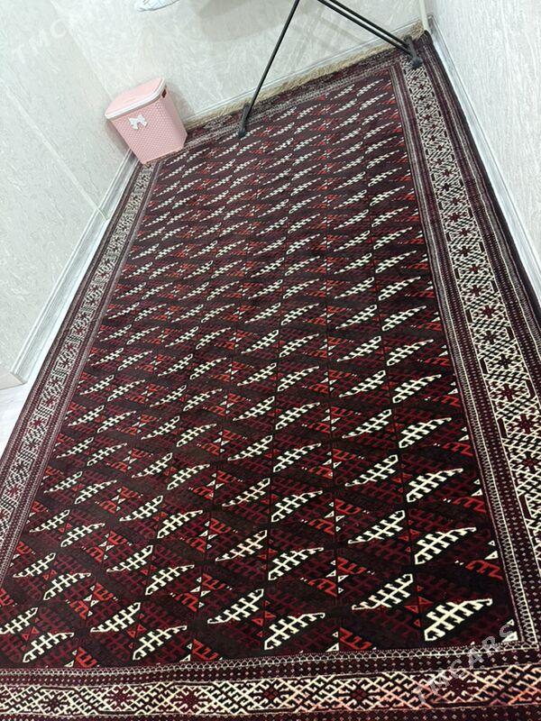 Haly - Хазар - img 1