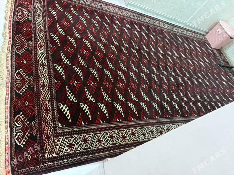 Haly - Хазар - img 3