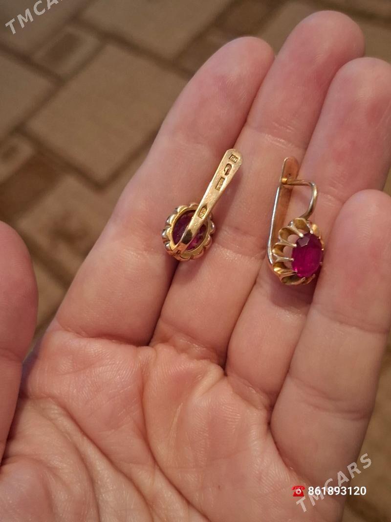 injir gadym - Daşoguz - img 2