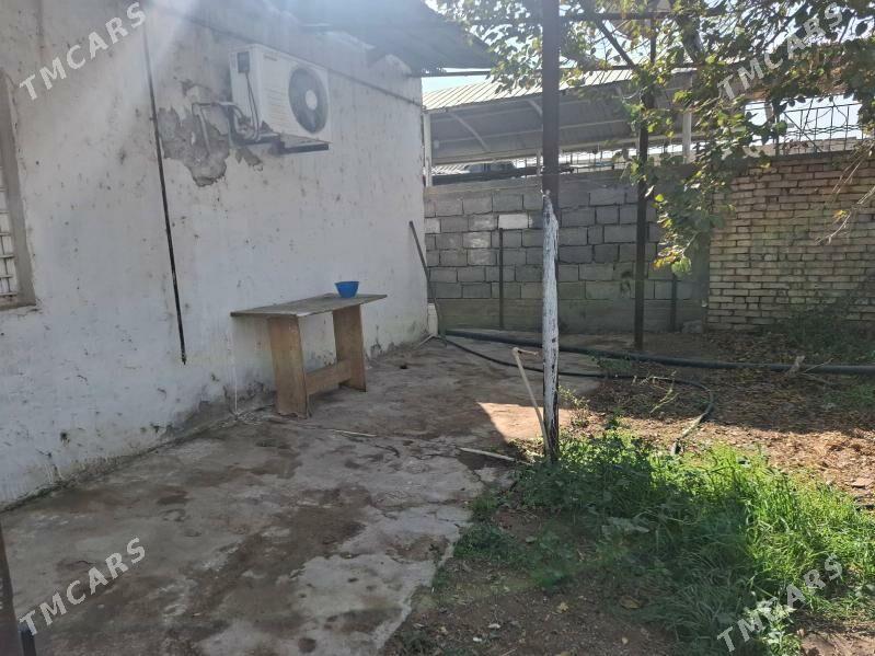 satlyk - Анев - img 5