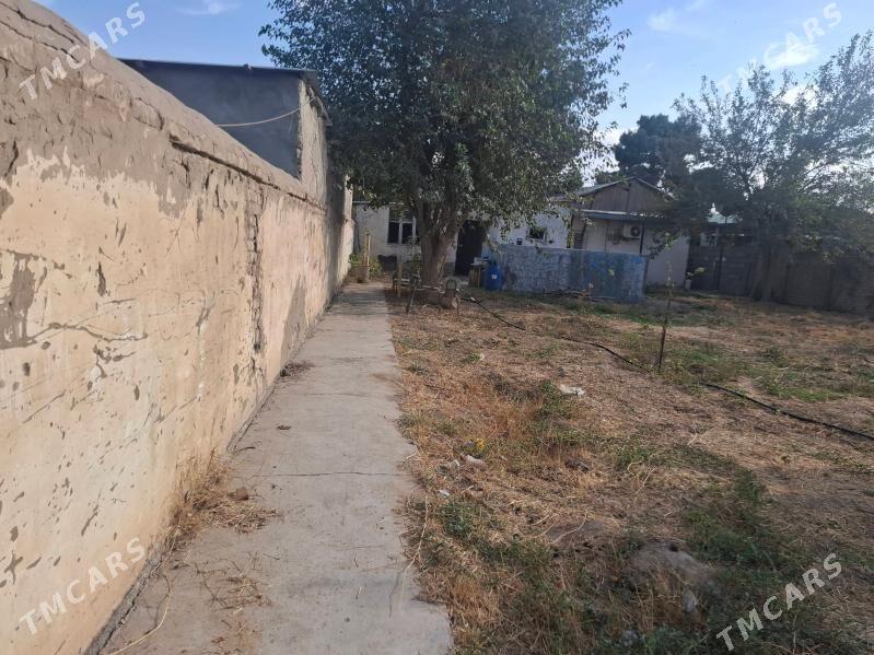 satlyk - Анев - img 7