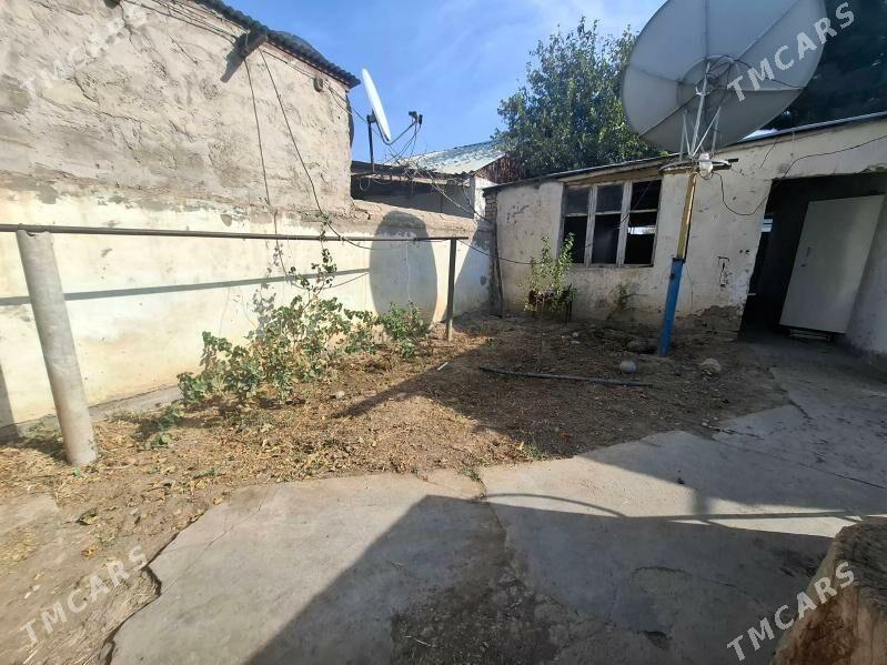 satlyk - Анев - img 2