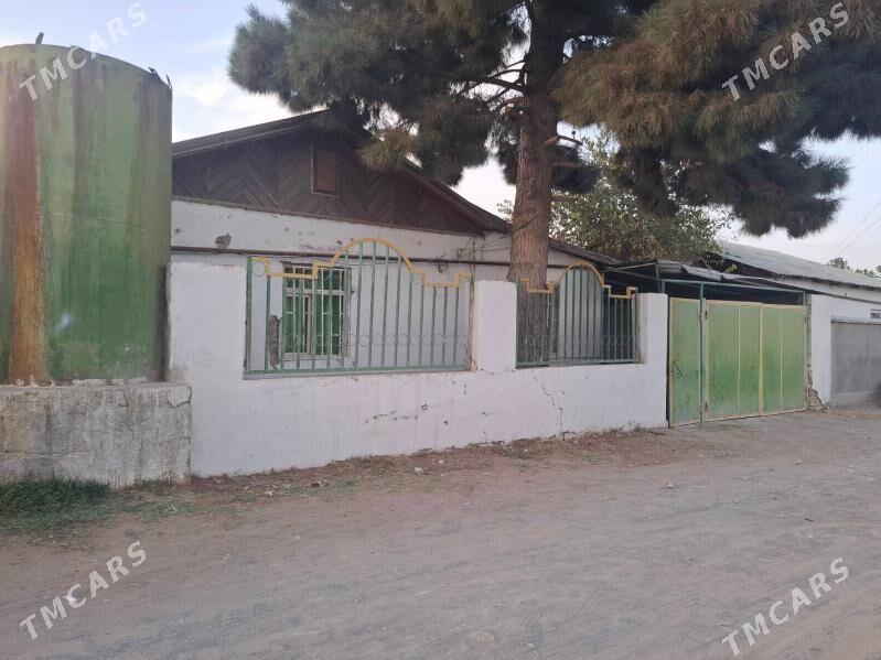 satlyk - Анев - img 8