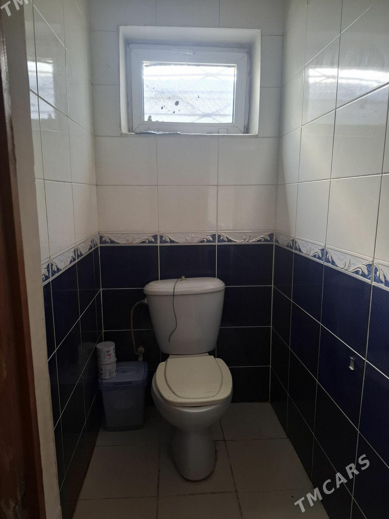 satlyk - Анев - img 9