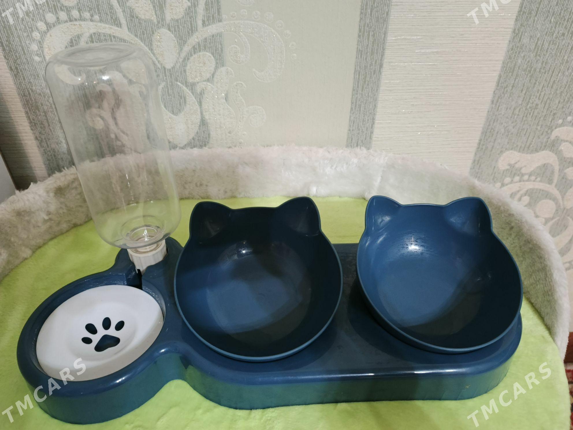 ПРОДАЮ КОМЛЕКТ ДЛЯ КОШЕК - Туркменабат - img 6