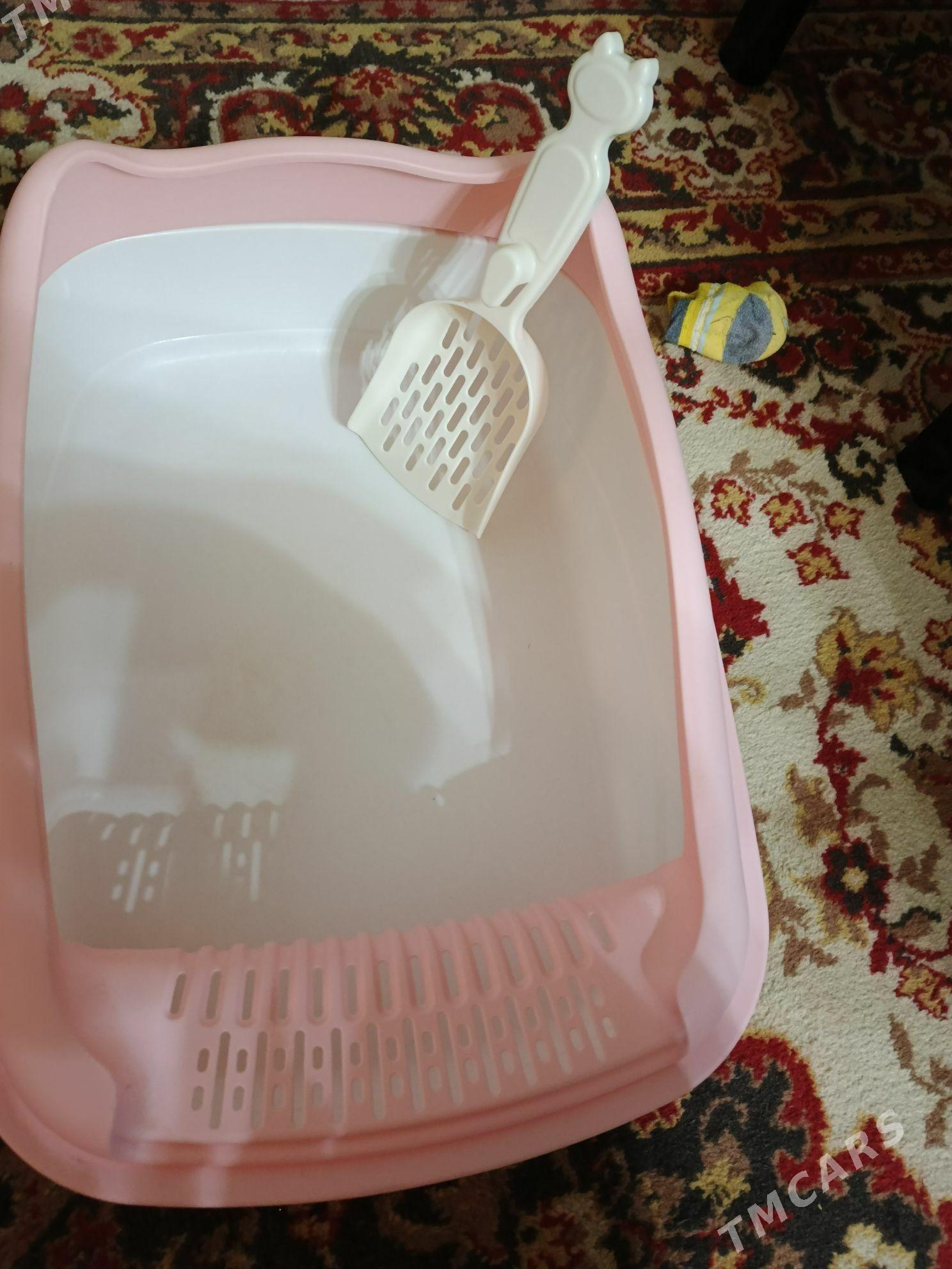 ПРОДАЮ КОМЛЕКТ ДЛЯ КОШЕК - Туркменабат - img 4