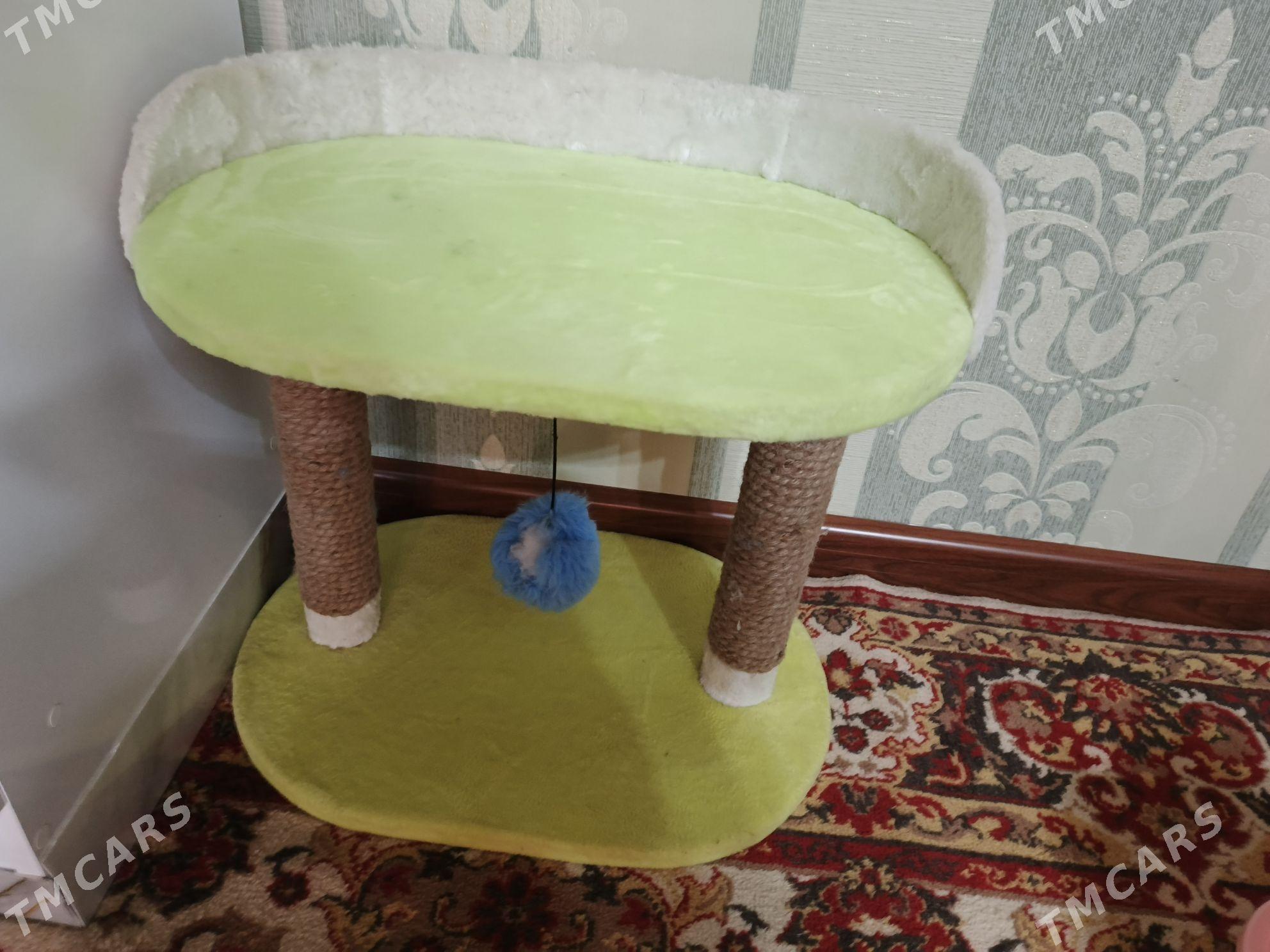 ПРОДАЮ КОМЛЕКТ ДЛЯ КОШЕК - Туркменабат - img 3