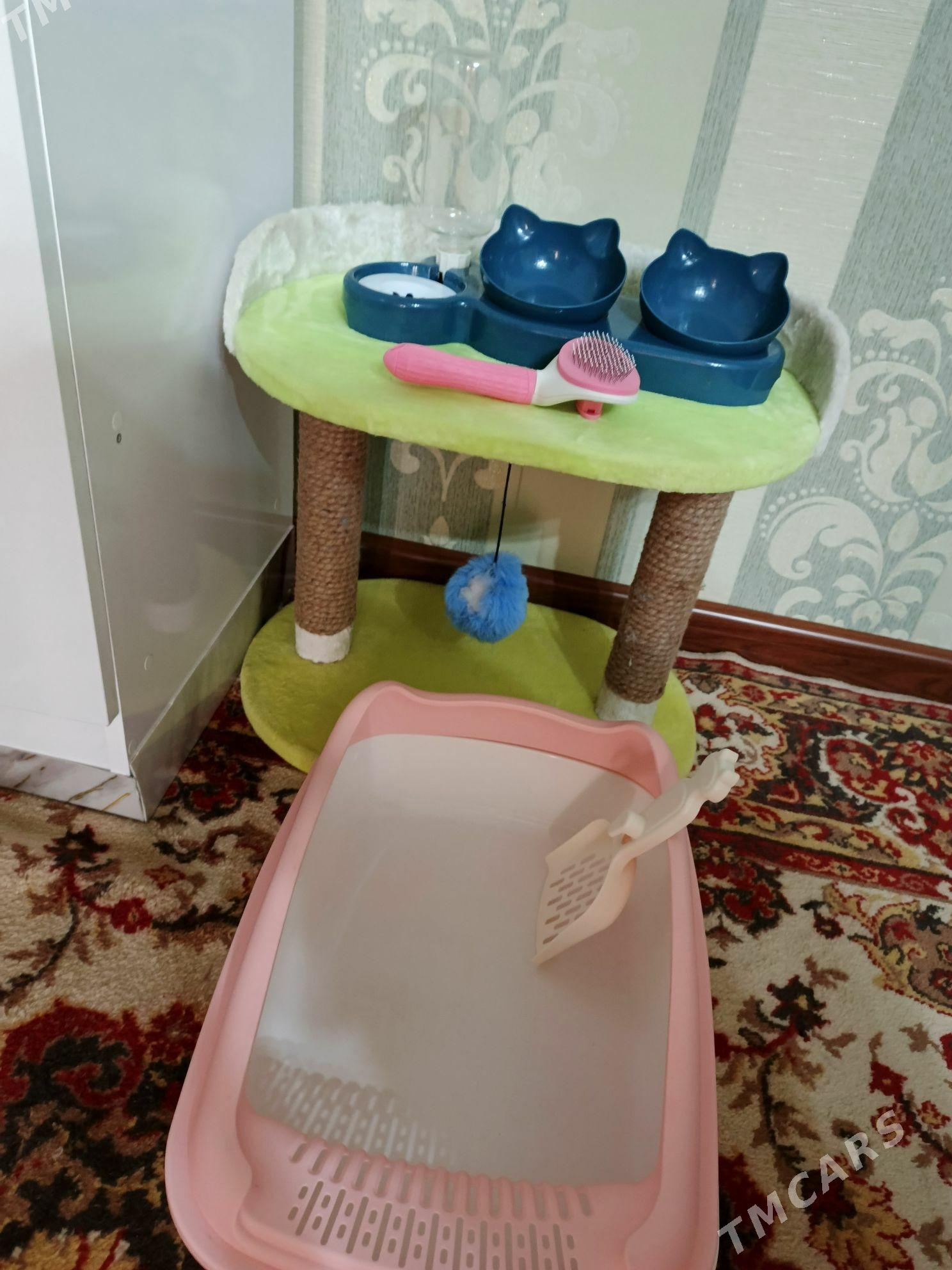 ПРОДАЮ КОМЛЕКТ ДЛЯ КОШЕК - Туркменабат - img 2