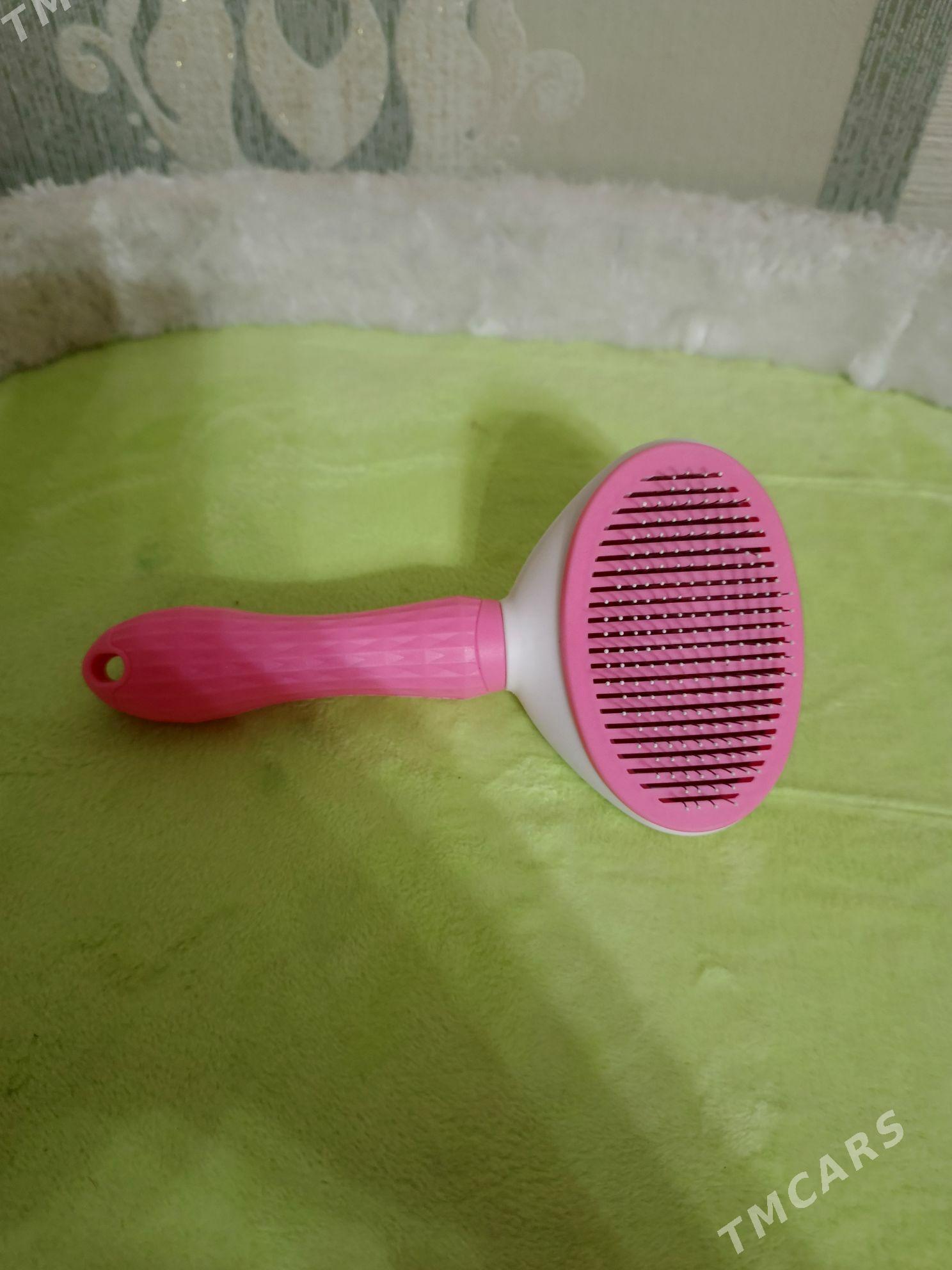 ПРОДАЮ КОМЛЕКТ ДЛЯ КОШЕК - Türkmenabat - img 1