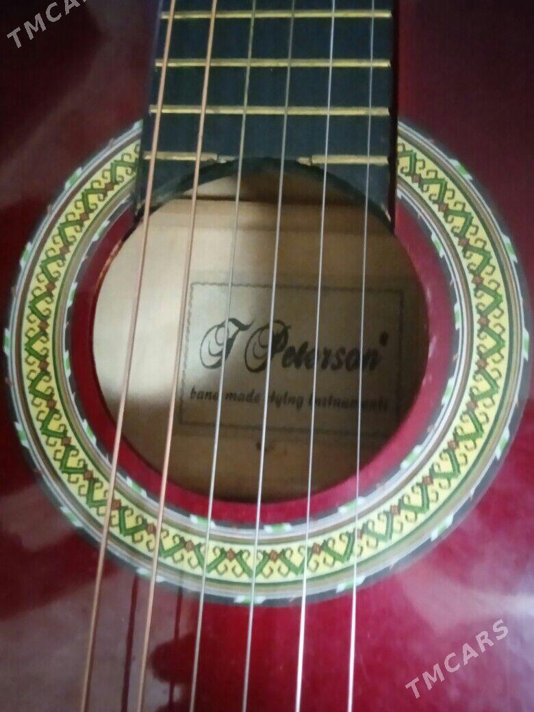 Gitara - Daşoguz - img 3