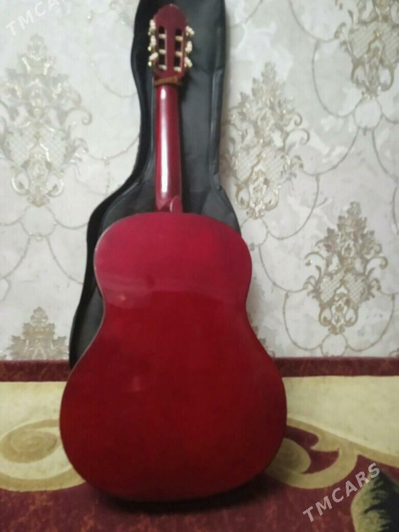 Gitara - Daşoguz - img 2