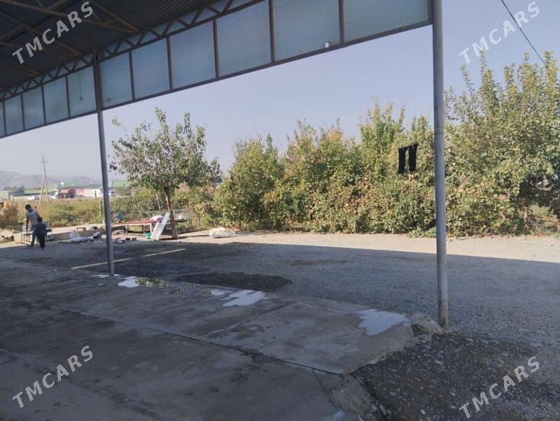 yer jay - Гёкдепе - img 3