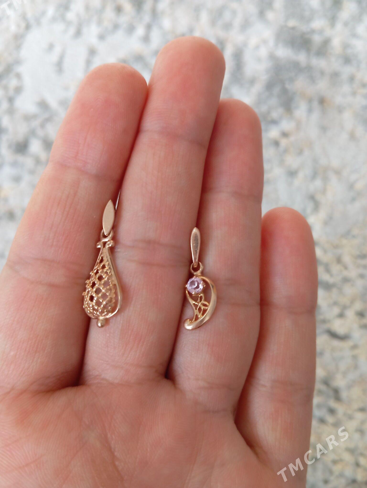 gyzyl klon - Кëши - img 2