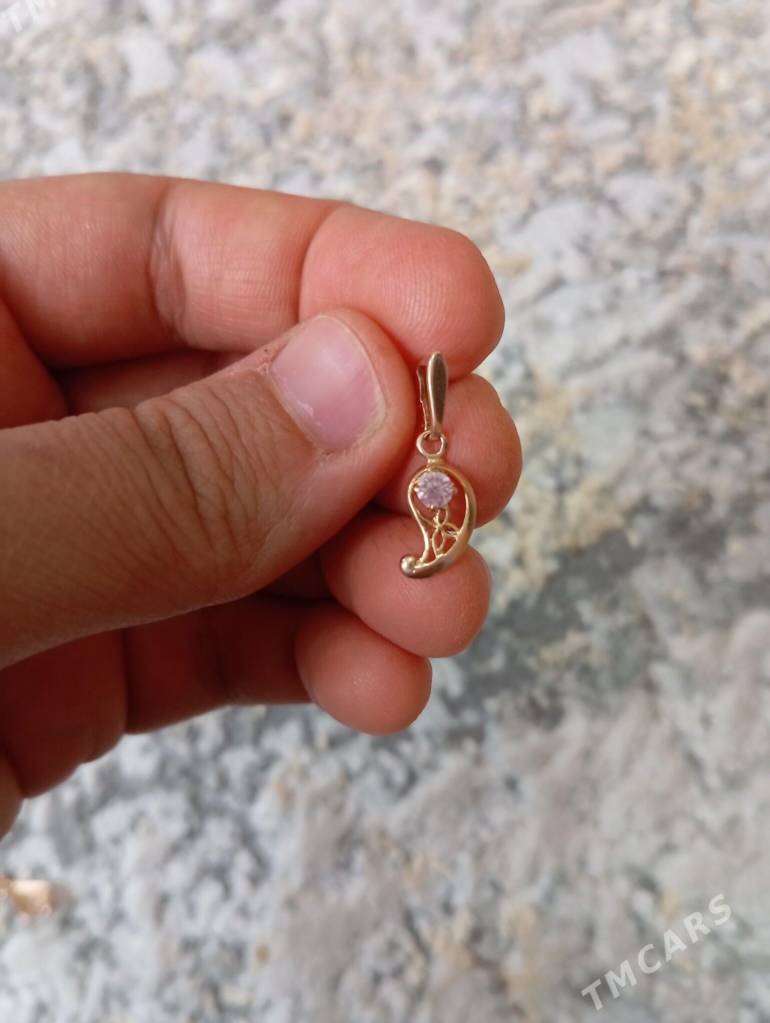 gyzyl klon - Кëши - img 3