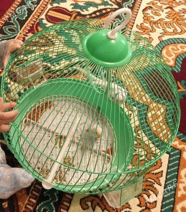 клетка для попугая - Mary - img 2