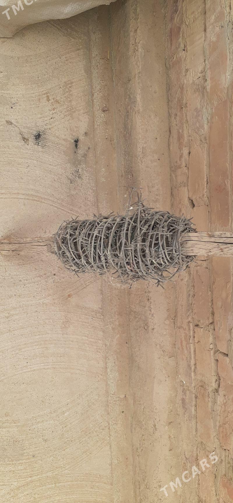 sim - Bereket - img 1