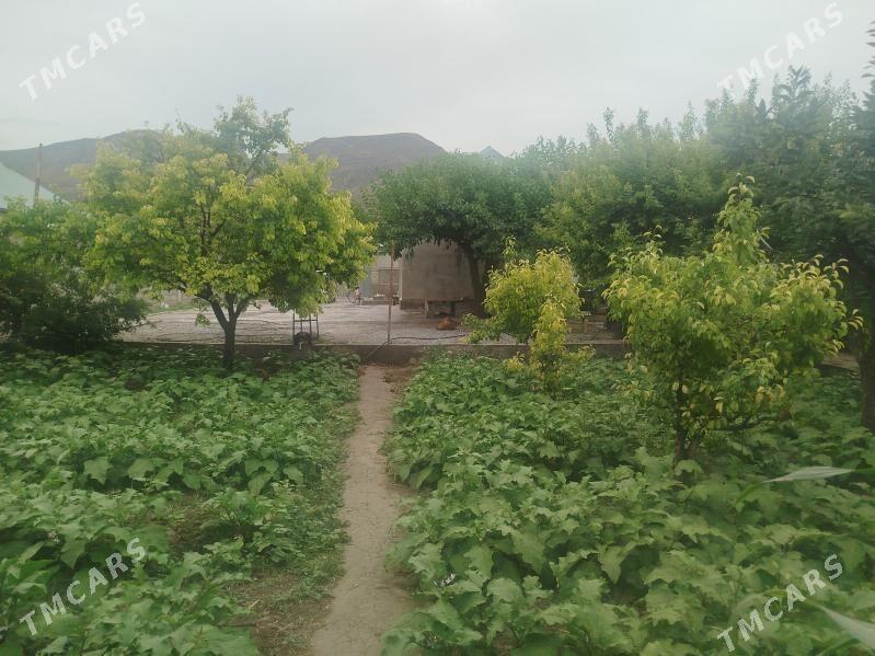 Gökdepe Jaý - Гёкдепе - img 2