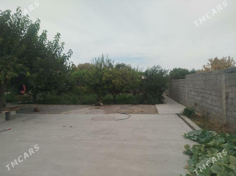 Gökdepe Jaý - Гёкдепе - img 3