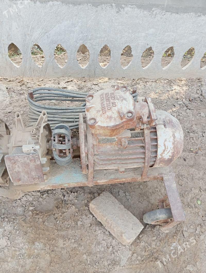 dwigatel - Мургап - img 1