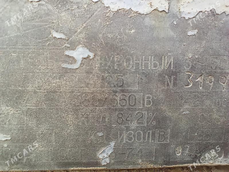 dwigatel - Мургап - img 3