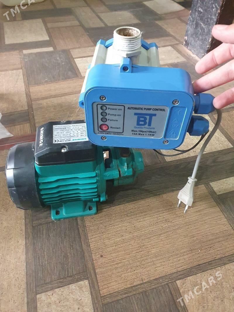 shimge nasoz, wakum - Daşoguz - img 3