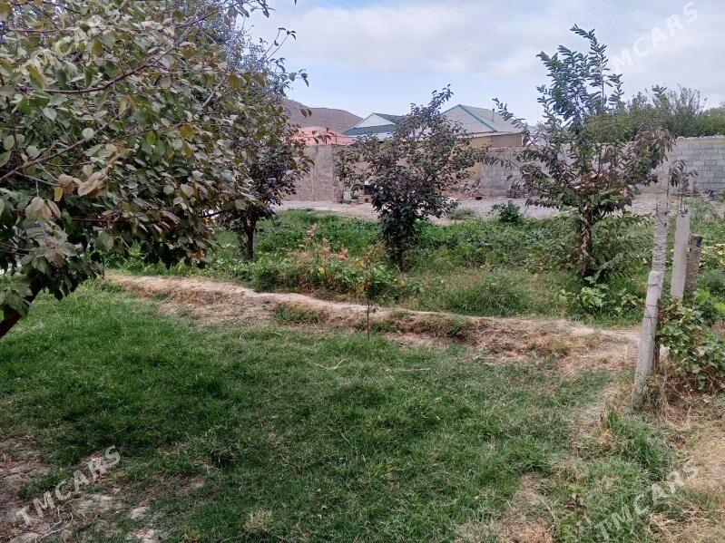 satlyk howly - Гёкдепе - img 3