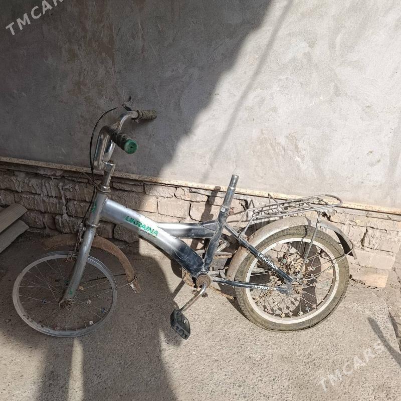 welli - Daşoguz - img 1