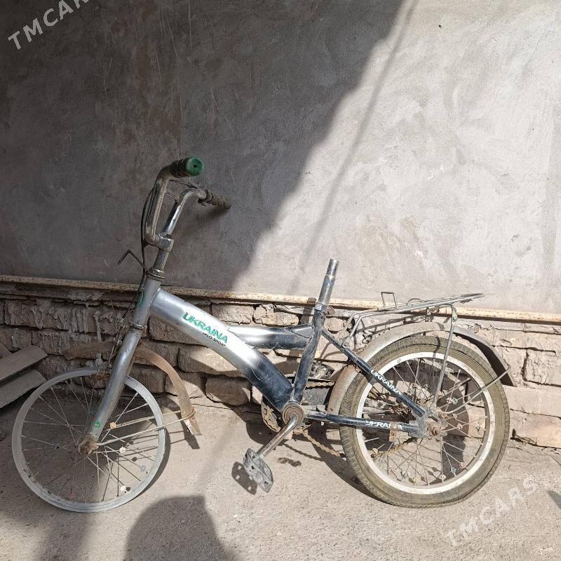 welli - Daşoguz - img 3