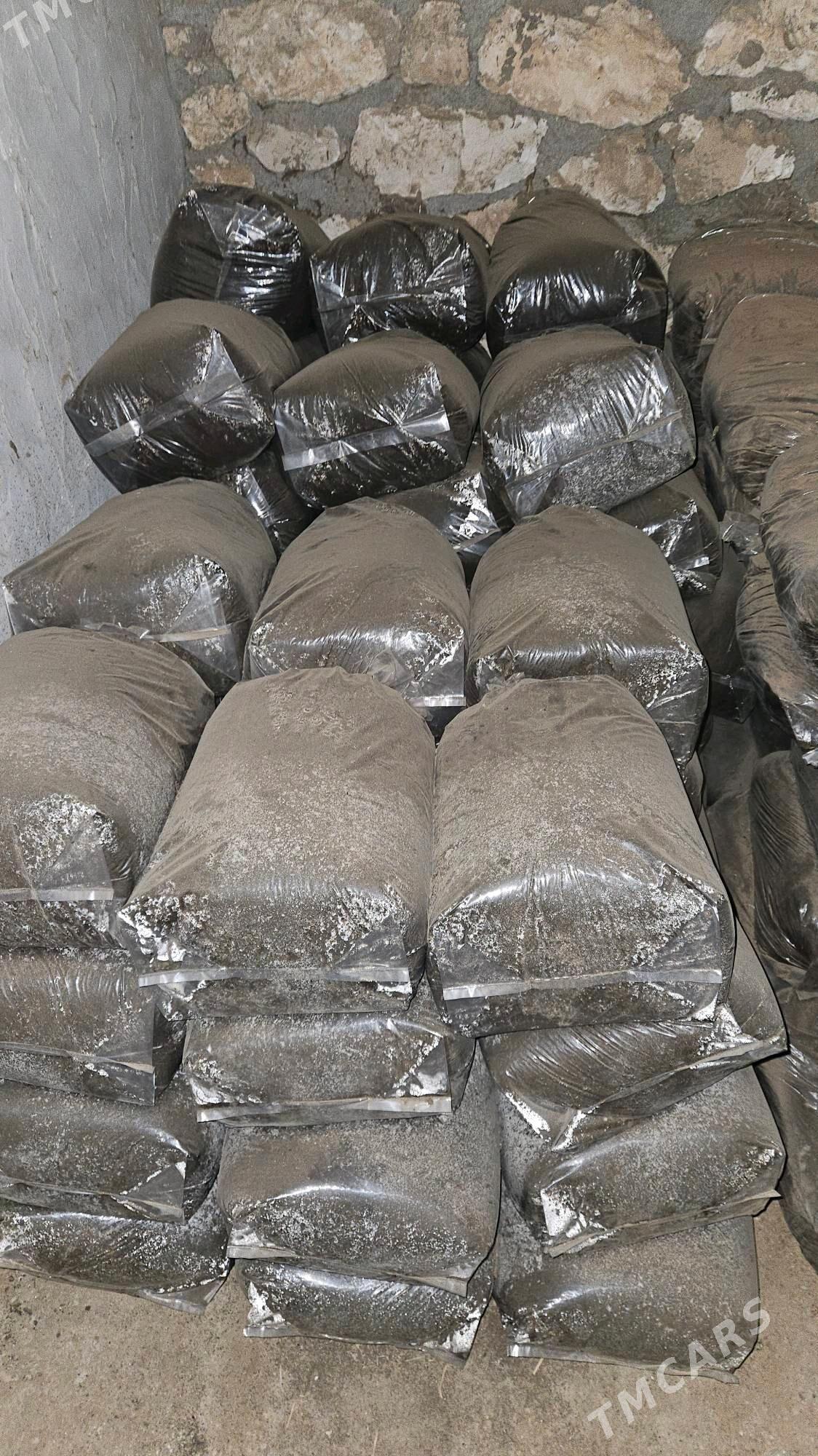 Biogums miweli agaclara - Köýtendag - img 2